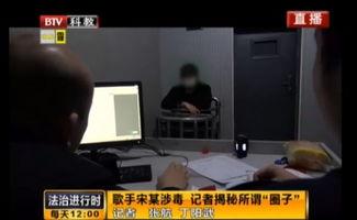 歌手爆料最新视频播放网站,揭秘最新热门视频播放网站背后的秘密  第3张